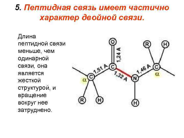 Одинарная двойная связь