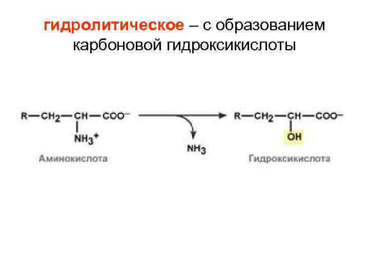 гидролитическое – с образованием карбоновой гидроксикислоты 
