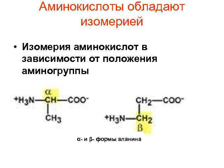 Аминокислоты обладают изомерией • Изомерия аминокислот в зависимости от положения аминогруппы α- и β-
