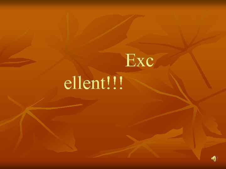  Exc ellent!!! 