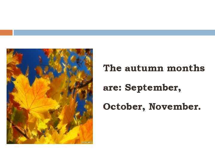 The autumn months are: September, October, November. 