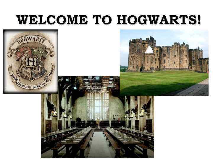 WELCOME TO HOGWARTS! 