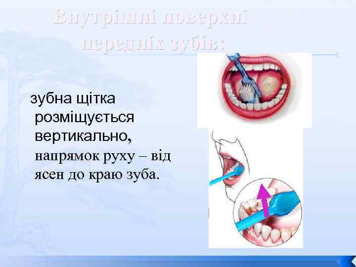 Внутрішні поверхні передніх зубів: зубна щітка розміщується вертикально, напрямок руху – від ясен до