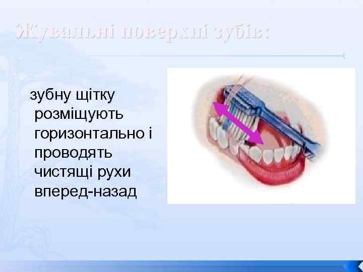 Жувальні поверхні зубів: зубну щітку розміщують горизонтально і проводять чистящі рухи вперед-назад 