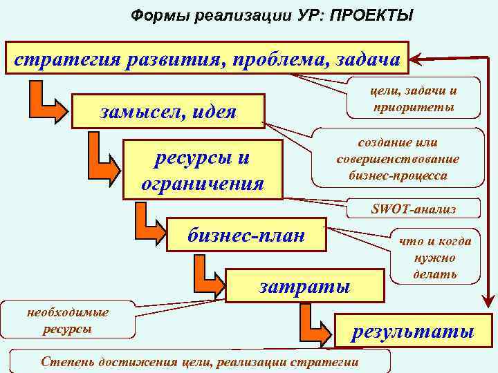 Виды реализации проекта