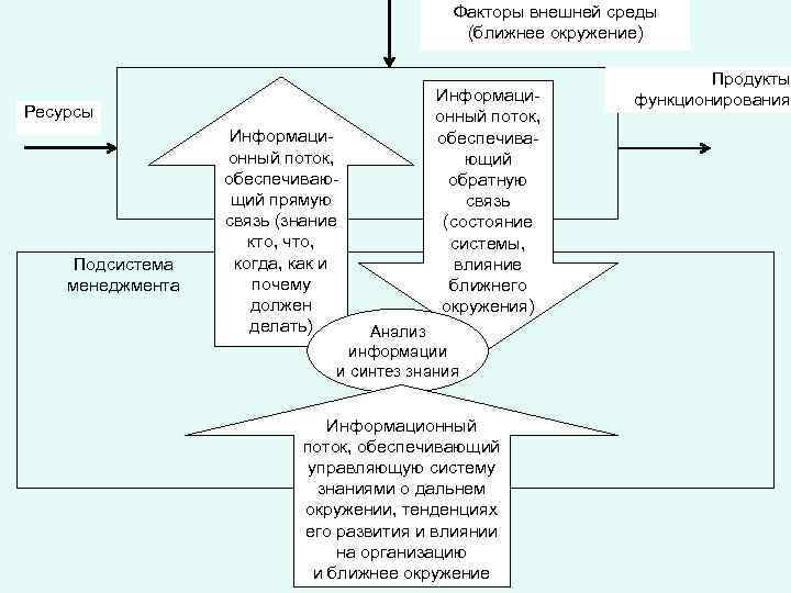 Факторы внешней среды (ближнее окружение) Ресурсы Подсистема менеджмента Информационный поток, обеспечивающий прямую связь (знание