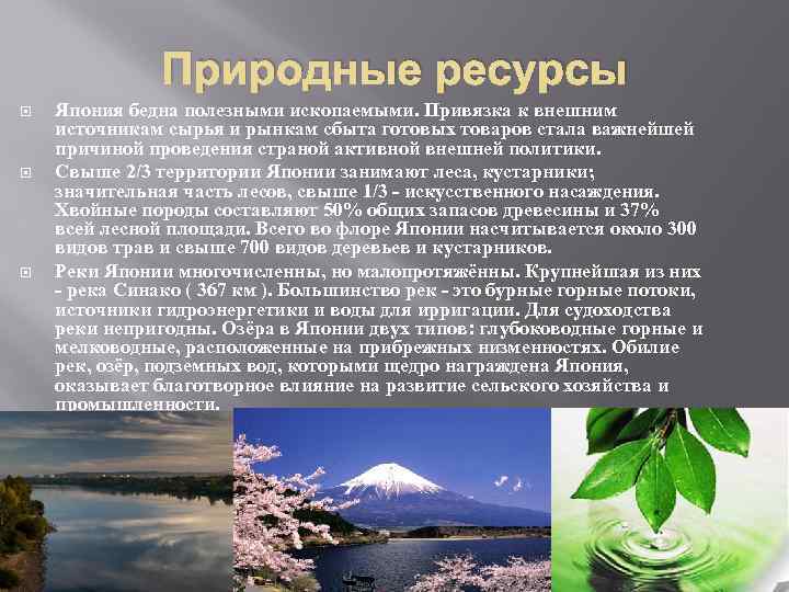 Природные ресурсы Япония бедна полезными ископаемыми. Привязка к внешним источникам сырья и рынкам сбыта