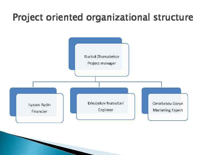 Project oriented organizational structure 