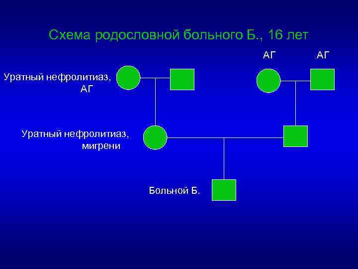 Схема родословной больного Б. , 16 лет АГ Уратный нефролитиаз, мигрени Больной Б. АГ