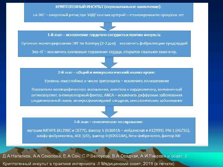 Д. А. Напалков, А. А. Соколова, Е. А. Сон, С. Р. Белоусов, В. А.