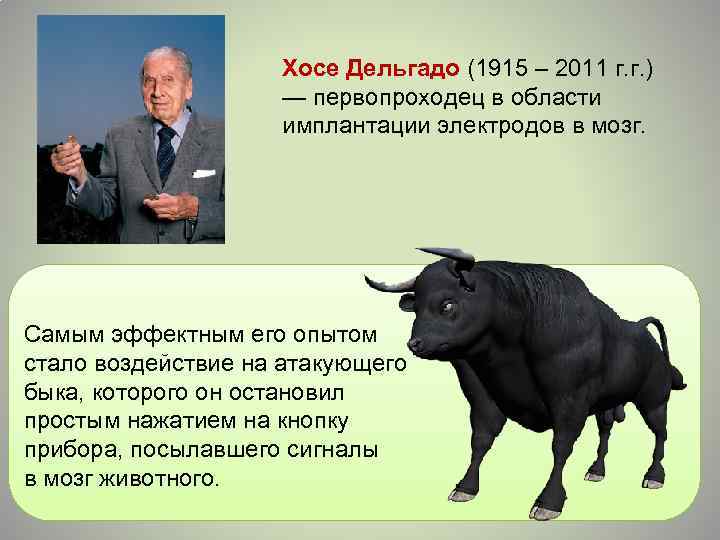 Хосе Дельгадо (1915 – 2011 г. г. ) — первопроходец в области имплантации электродов