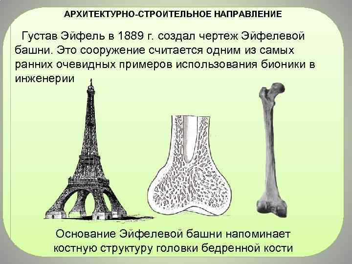 АРХИТЕКТУРНО-СТРОИТЕЛЬНОЕ НАПРАВЛЕНИЕ Густав Эйфель в 1889 г. создал чертеж Эйфелевой башни. Это сооружение считается