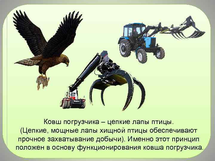 Ковш погрузчика – цепкие лапы птицы. (Цепкие, мощные лапы хищной птицы обеспечивают прочное захватывание