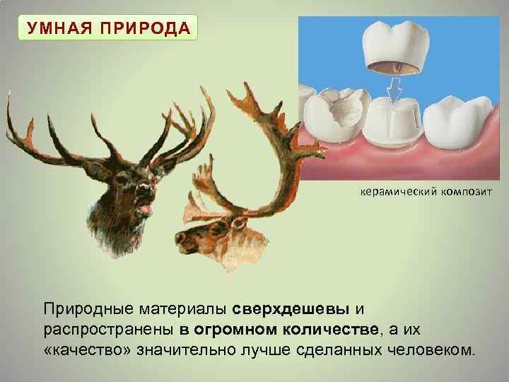 УМНАЯ ПРИРОДА керамический композит Природные материалы сверхдешевы и распространены в огромном количестве, а их