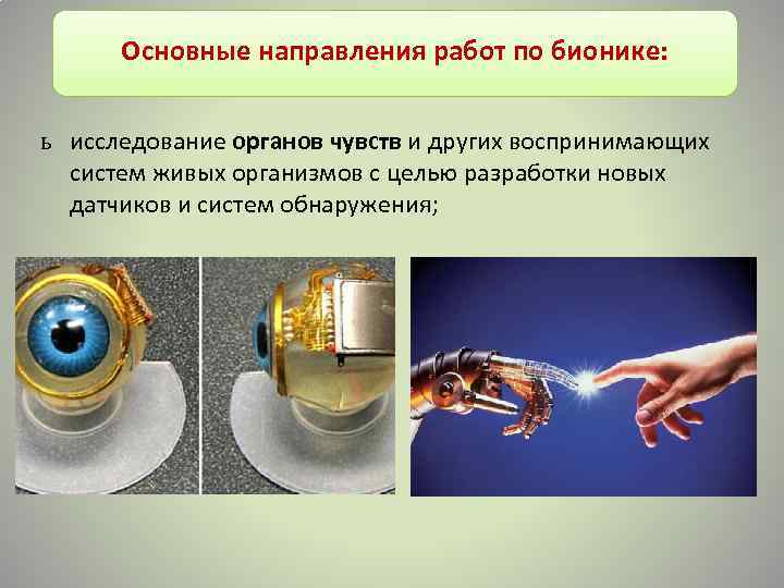 Основные направления работ по бионике: ь исследование органов чувств и других воспринимающих систем живых
