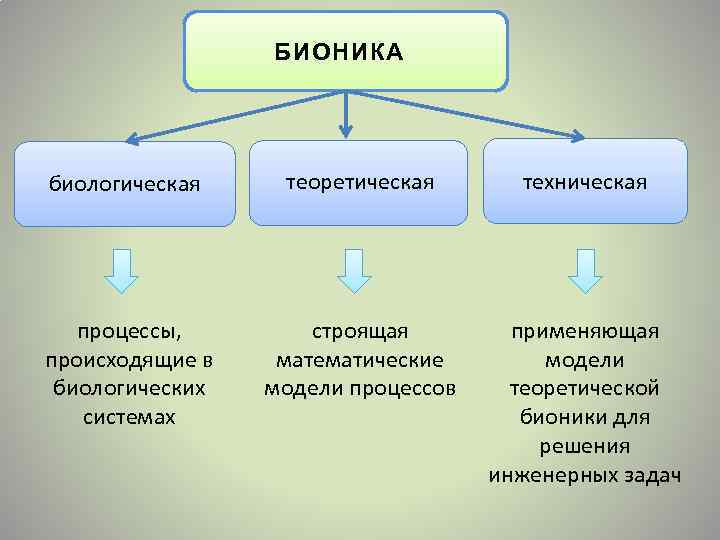 Процессы происходящие в системе