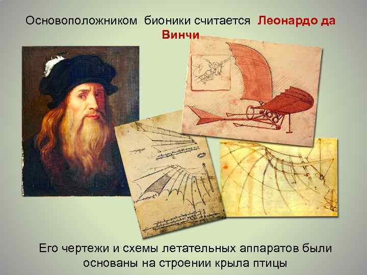 Основоположником бионики считается Леонардо да Винчи Его чертежи и схемы летательных аппаратов были основаны