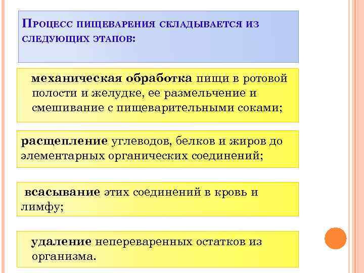 ПРОЦЕСС ПИЩЕВАРЕНИЯ СКЛАДЫВАЕТСЯ ИЗ СЛЕДУЮЩИХ ЭТАПОВ: механическая обработка пищи в ротовой полости и желудке,