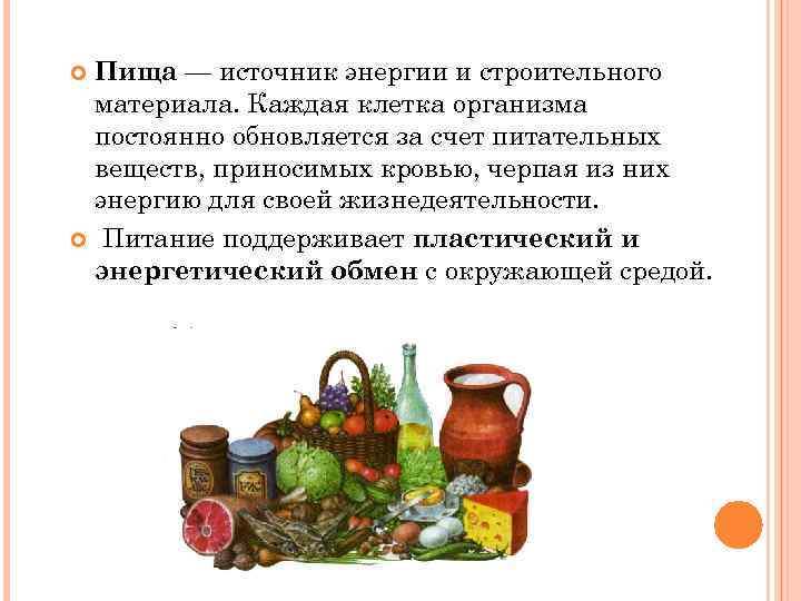 Пища — источник энергии и строительного материала. Каждая клетка организма постоянно обновляется за счет
