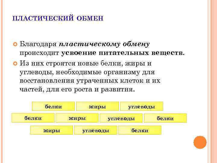 Обмен произошел. Усвоение питательных веществ. Пластический обмен. Что происходит с питательными веществами в пластическом обмене.