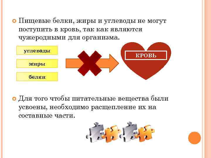  Пищевые белки, жиры и углеводы не могут поступить в кровь, так как являются