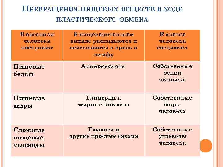 ПРЕВРАЩЕНИЯ ПИЩЕВЫХ ВЕЩЕСТВ В ХОДЕ ПЛАСТИЧЕСКОГО ОБМЕНА В организм человека поступают В пищеварительном канале