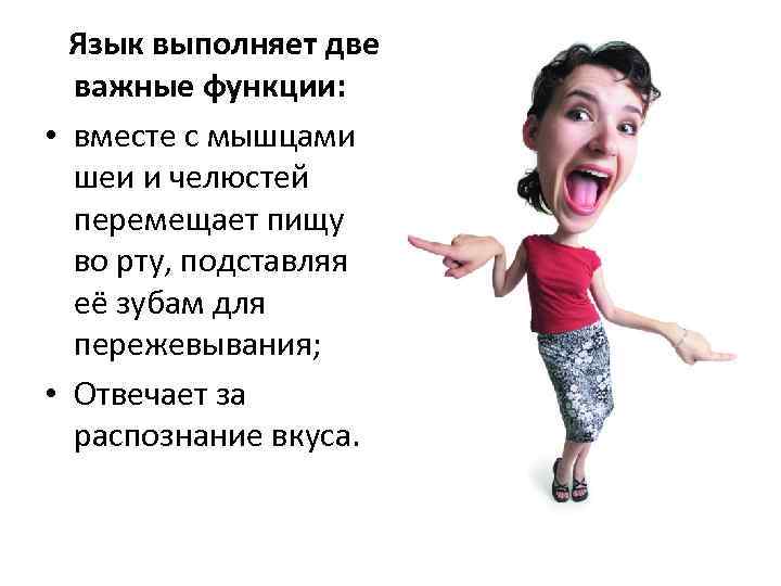 Язык выполняет две важные функции: • вместе с мышцами шеи и челюстей перемещает пищу