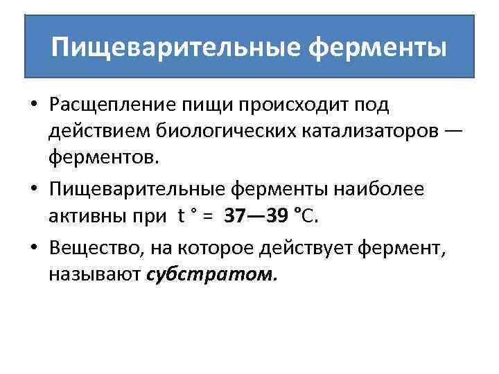 Пищеварительные ферменты • Расщепление пищи происходит под действием биологических катализаторов — ферментов. • Пищеварительные