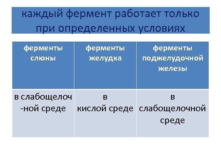 каждый фермент работает только при определенных условиях ферменты слюны ферменты желудка ферменты поджелудочной железы