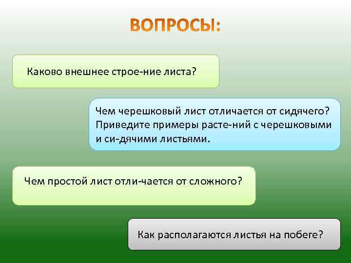 Каково внешнее строе ние листа? Чем черешковый лист отличается от сидячего? Приведите примеры расте