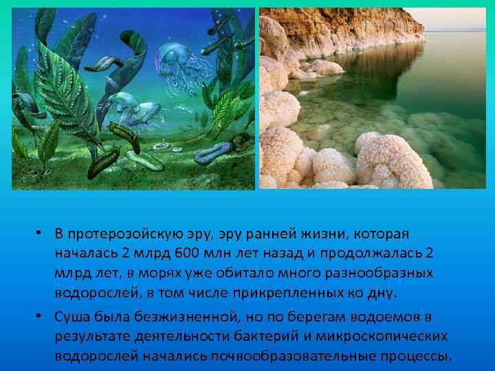 • В протерозойскую эру, эру ранней жизни, которая началась 2 млрд 600 млн