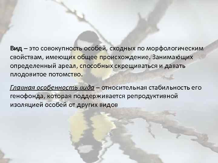 Вид – это совокупность особей, сходных по морфологическим свойствам, имеющих общее происхождение. Занимающих определенный