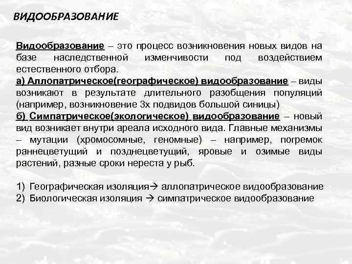 ВИДООБРАЗОВАНИЕ Видообразование – это процесс возникновения новых видов на базе наследственной изменчивости под воздействием