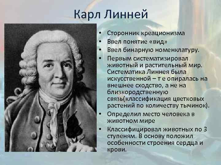 Карл Линней Сторонник креационизма Ввел понятие «вид» Ввел бинарную номенклатуру. Первым систематизировал животный и