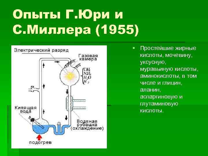 Опыты Г. Юри и С. Миллера (1955) § Простейшие жирные кислоты, мочевину, уксусную, муравьиную