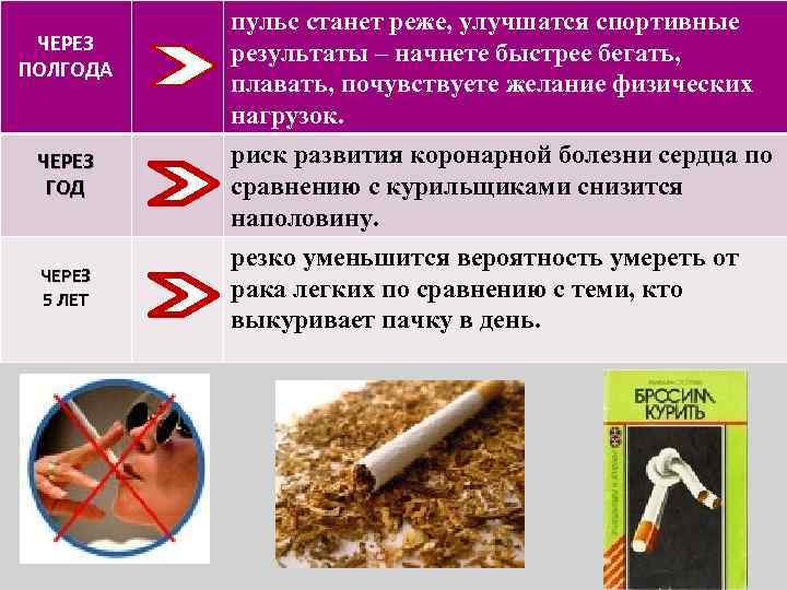ЧЕРЕЗ ПОЛГОДА ЧЕРЕЗ ГОД ЧЕРЕЗ 5 ЛЕТ пульс станет реже, улучшатся спортивные результаты –