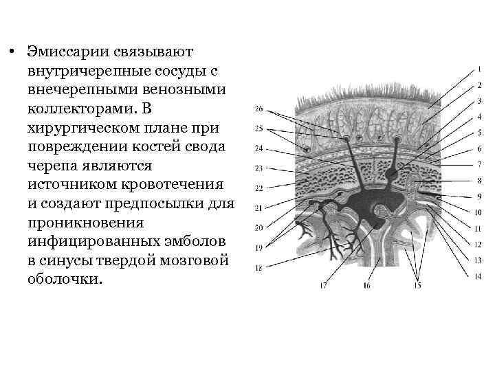 Илеоцекального клапана спазм