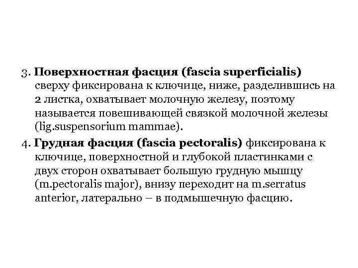 3. Поверхностная фасция (fascia superficialis) сверху фиксирована к ключице, ниже, разделившись на 2 листка,