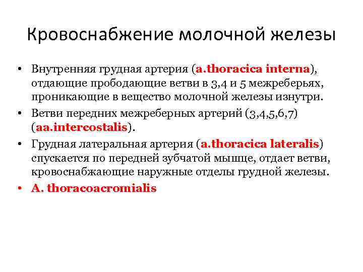 Кровоснабжение молочной железы • Внутренняя грудная артерия (a. thoracica interna), interna отдающие прободающие ветви