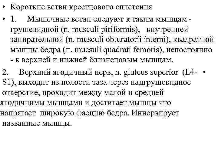  • Короткие ветви крестцового сплетения • 1. Мышечные ветви следуют к таким мышцам