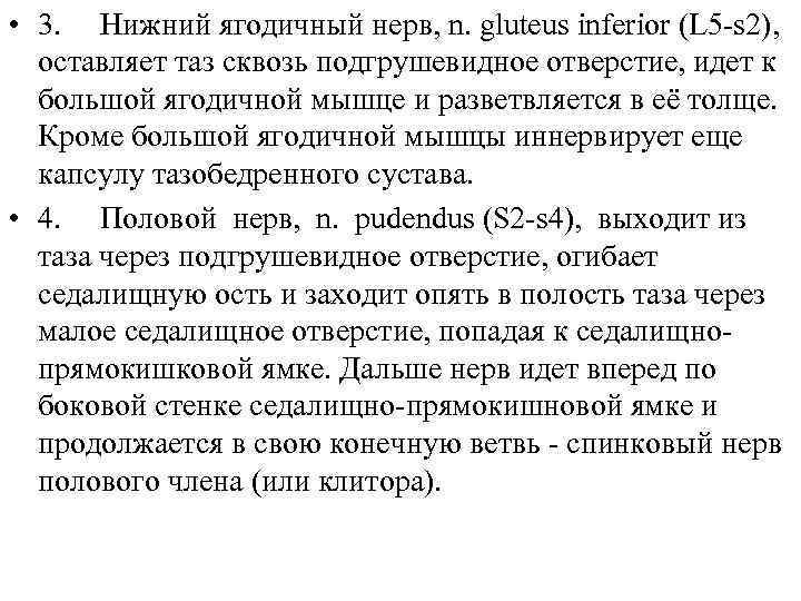  • 3. Нижний ягодичный нерв, n. gluteus inferior (L 5 -s 2), оставляет