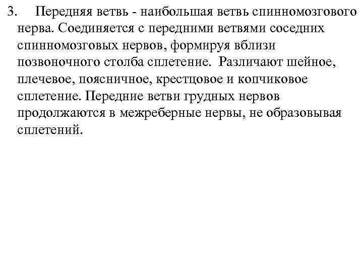 3. Передняя ветвь - наибольшая ветвь спинномозгового нерва. Соединяется с передними ветвями соседних спинномозговых