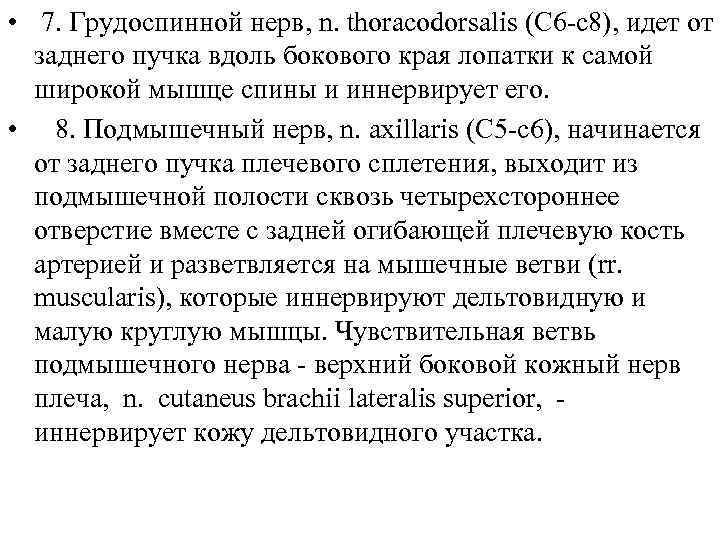  • 7. Грудоспинной нерв, n. thoracodorsalis (C 6 -c 8), идет от заднего