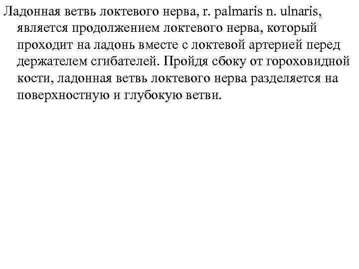 Ладонная ветвь локтевого нерва, r. palmaris n. ulnaris, является продолжением локтевого нерва, который проходит