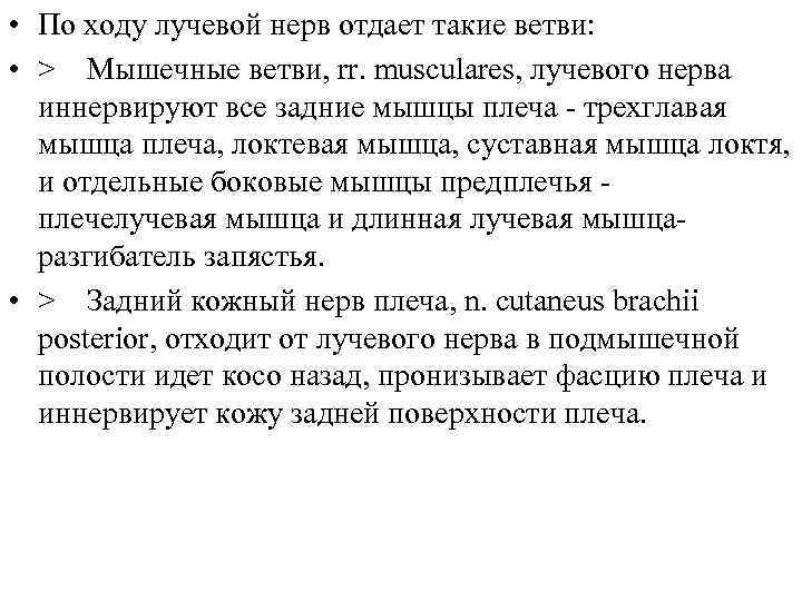  • По ходу лучевой нерв отдает такие ветви: • > Мышечные ветви, rr.
