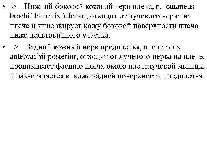  • > Нижний боковой кожный нерв плеча, n. cutaneus brachii lateralis inferior, отходит