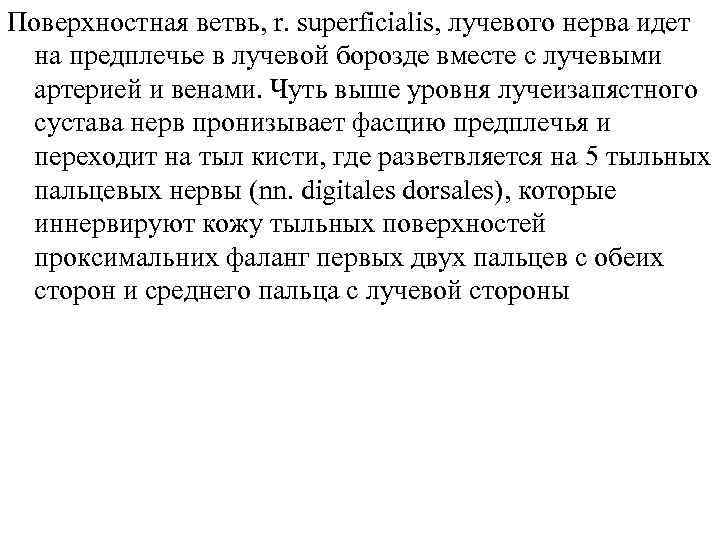 Поверхностная ветвь, r. superficialis, лучевого нерва идет на предплечье в лучевой борозде вместе с