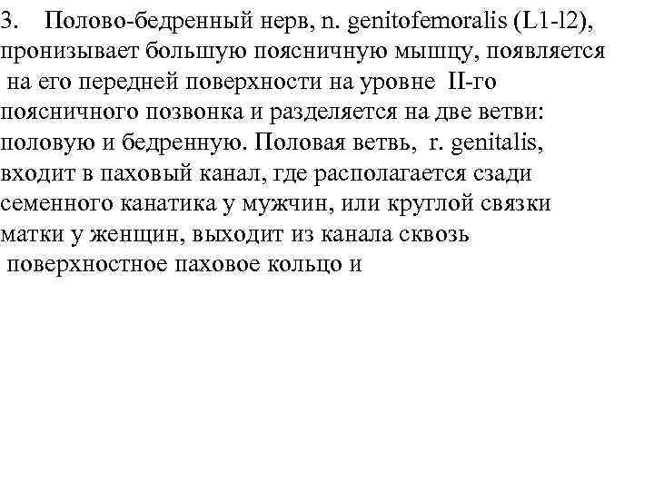 3. Полово-бедренный нерв, n. genitofemoralis (L 1 -l 2), пронизывает большую поясничную мышцу, появляется