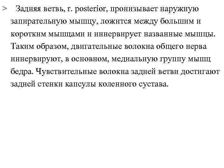 > Задняя ветвь, r. posterior, пронизывает наружную запирательную мышцу, ложится между большим и коротким