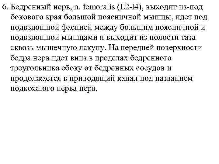 6. Бедренный нерв, n. femoralis (L 2 -l 4), выходит из-под бокового края большой